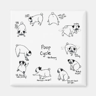 Poopcyclus Magneet