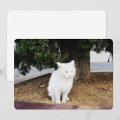 Pooping Cat Flat Holiday Kaart (Voorkant / Achterkant)