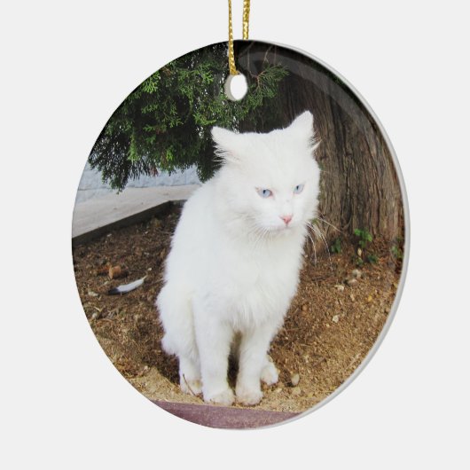 Pooping Cat Keramisch Ornament (Links)