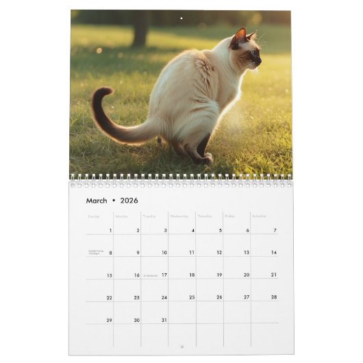 Pooping Cats Kalender 2026 (Mar 2026)