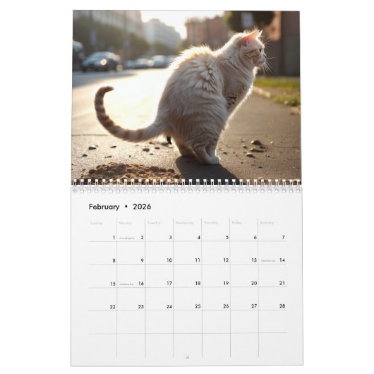 Pooping Cats Kalender 2026 (Feb 2026)