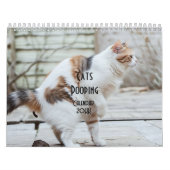 Pooping Cats Kalender 2026 (Hoes)