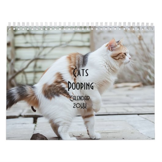 Pooping Cats Kalender 2026 (Hoes)