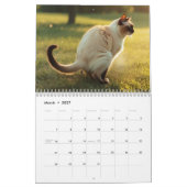 Pooping Cats Kalender 2026 (Mar 2027)