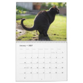 Pooping Cats Kalender 2026 (Jan 2027)