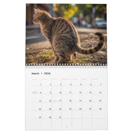 Pooping Cats Kalender 2026 (Mar 2026)