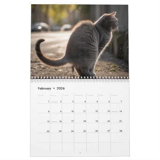 Pooping Cats Kalender 2026 (Feb 2026)