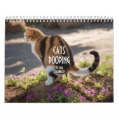 Pooping Cats Kalender 2026 (Hoes)