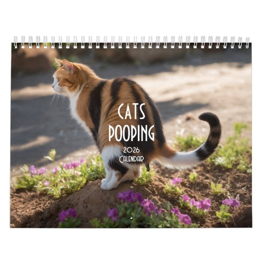 Pooping Cats Kalender 2026 (Hoes)