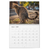 Pooping Cats Kalender 2026 (Mar 2027)