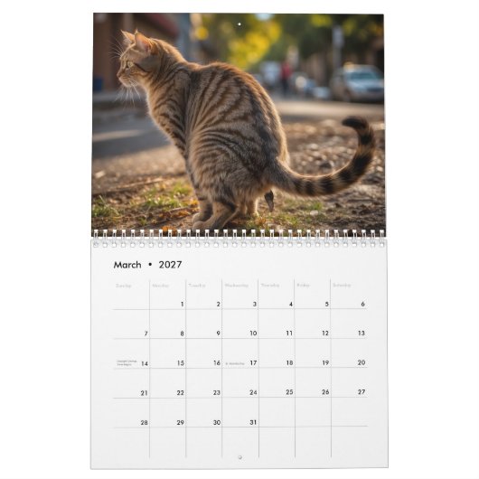 Pooping Cats Kalender 2026 (Mar 2027)