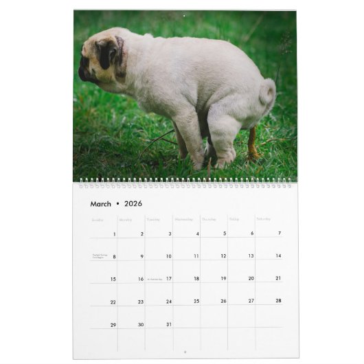Pooping Dogs Calendar 2023, Funny Dogs Kalender (Mar 2026)