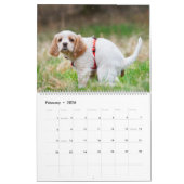 Pooping Dogs Calendar 2023, Funny Dogs Kalender (Feb 2026)