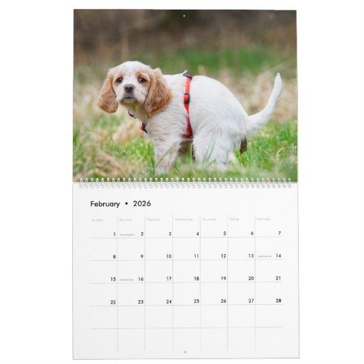 Pooping Dogs Calendar 2023, Funny Dogs Kalender (Feb 2026)