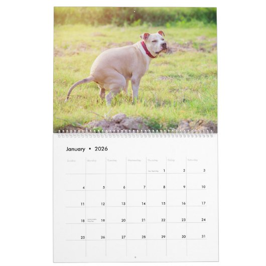 Pooping Dogs Calendar 2023, Funny Dogs Kalender (Jan 2026)