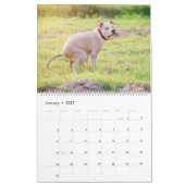 Pooping Dogs Calendar 2023, Funny Dogs Kalender (Jan 2027)