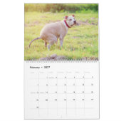 Pooping Dogs Calendar 2023, Funny Dogs Kalender (Feb 2027)