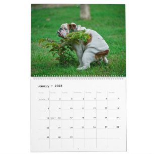 Pooping Dogs Calendar 2023, Funny Dogs Kalender