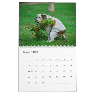 Pooping Dogs Calendar 2023, Funny Dogs Kalender