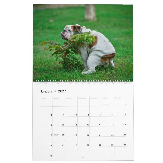 Pooping Dogs Calendar 2023, Funny Dogs Kalender (Jan 2027)