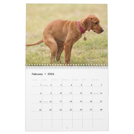 Pooping Dogs Kalender 2026 (Feb 2026)