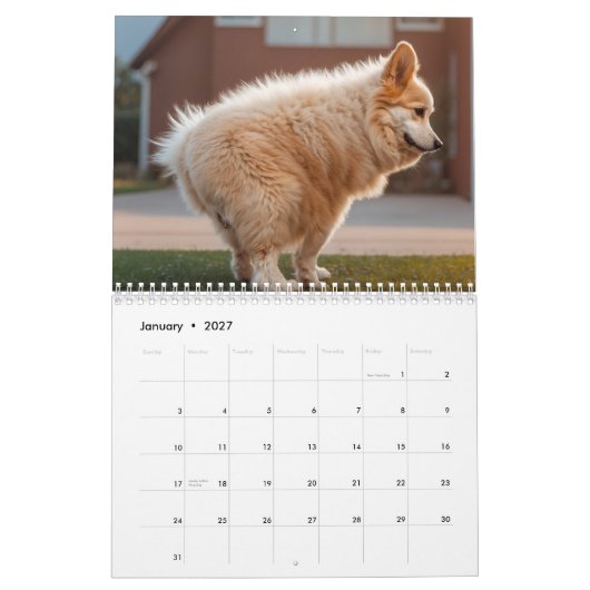 Pooping Dogs Kalender 2026 (Jan 2027)