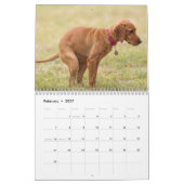 Pooping Dogs Kalender 2026 (Feb 2027)