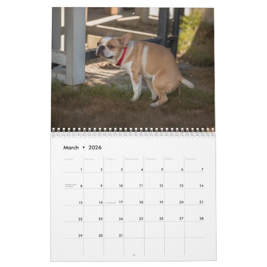 Pooping Dogs Kalender 2026 (Mar 2026)