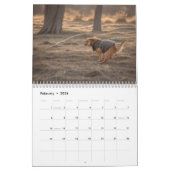 Pooping Dogs Kalender 2026 (Feb 2026)