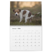 Pooping Dogs Kalender 2026 (Jan 2026)