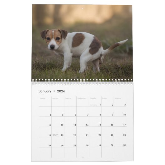 Pooping Dogs Kalender 2026 (Jan 2026)