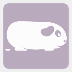 Pooping Guinee Varkenshaar Vierkante Sticker