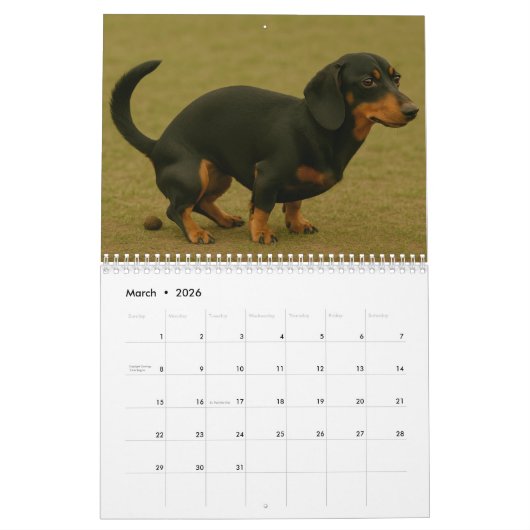 Pooping hondenkalender 2026 kalender (Mar 2026)
