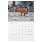 Pooping hondenkalender 2026 kalender (Feb 2027)