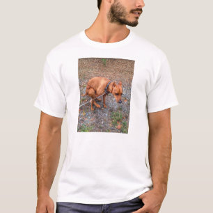 Pooping Pooches Min Pin T-shirt