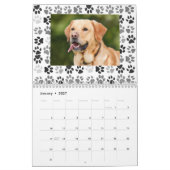 Poot Drukt Achtergrond Huisdier Foto Hond Kat Kalender (Jan 2027)