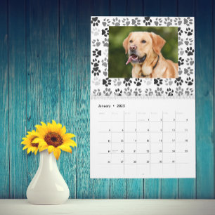 Poot Drukt Achtergrond Huisdier Foto Hond Kat Kalender