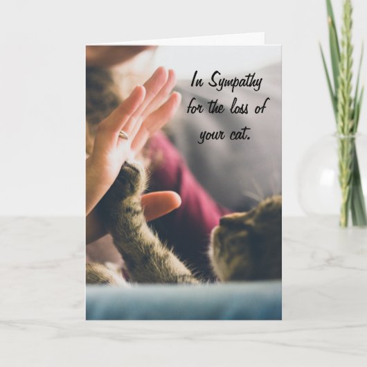 Poot hoog-Vijf van de kat Kaart (Voorkant)