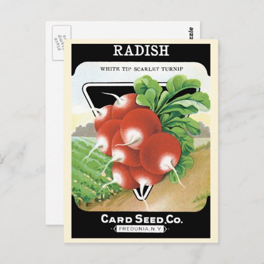 pootaardappelen met etiket op zadels briefkaart (Voorkant / Achterkant)