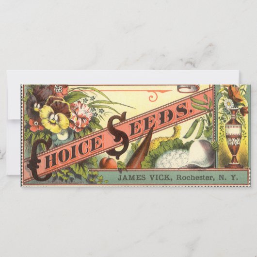  pootaardappelen met label, Vick's Choice Seeds (Voorkant)