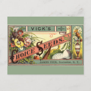 pootaardappelen met label, Vick's Choice Seeds Briefkaart