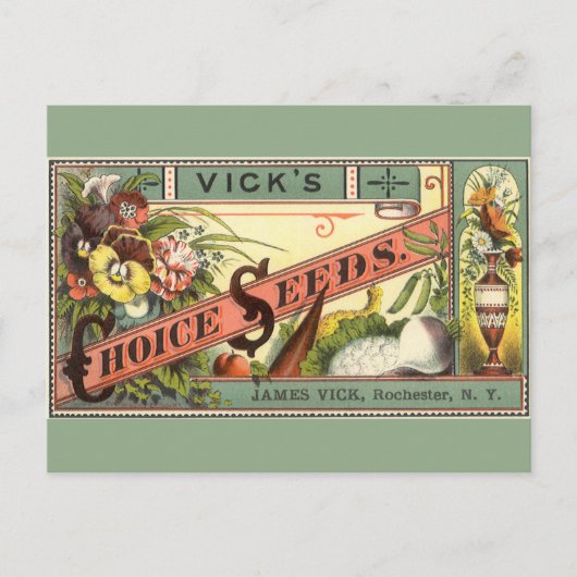  pootaardappelen met label, Vick's Choice Seeds Briefkaart (Voorkant)