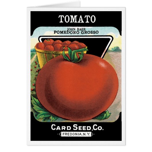  pootaardappelen, tomaat Pomodoro (Voorkant)