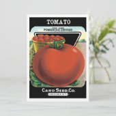  pootaardappelen, tomaat Pomodoro (Staand voorkant)