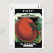  pootaardappelen, tomaat Pomodoro Briefkaart (Voorkant / Achterkant)