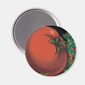  pootaardappelen, tomaat Pomodoro Magneet (Voorkant / Achterkant)