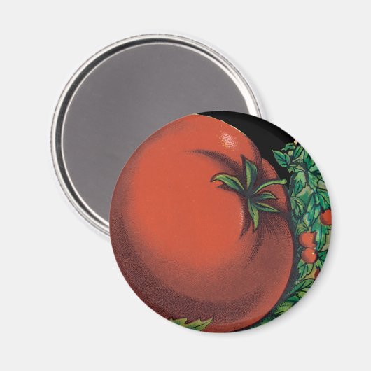  pootaardappelen, tomaat Pomodoro Magneet (Voorkant / Achterkant)