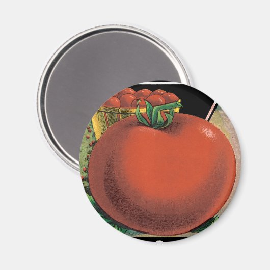  pootaardappelen, tomaat Pomodoro Magneet (Voorkant / Achterkant)