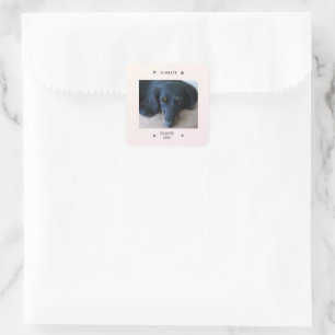 Pootafdrukframe met huisdiernaam en bijnaam vierkante sticker