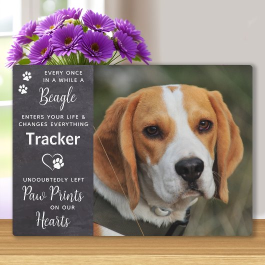 Pootafdrukken in ons hart huisdier hond Beagle her Fotoplaat